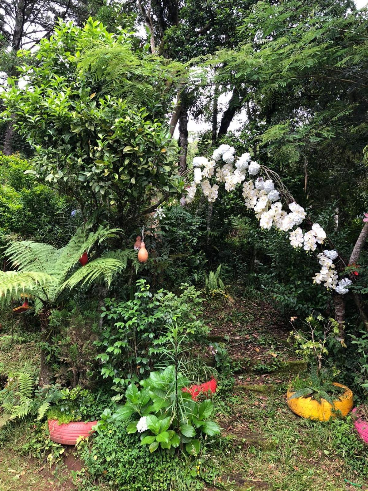 Recanto Familia Weiss Gramado Eksteriør bilde